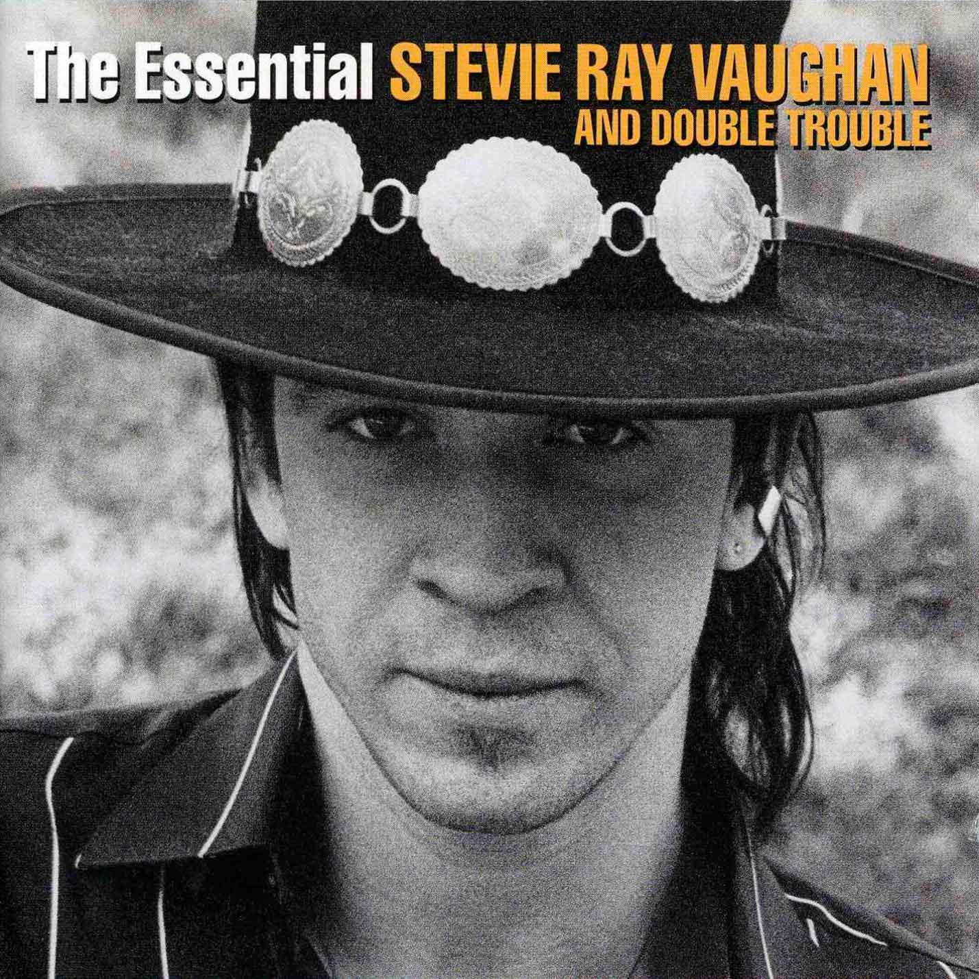 Vaughan Stevie Ray - The Essential Steve Ray Vaughan (2cd)