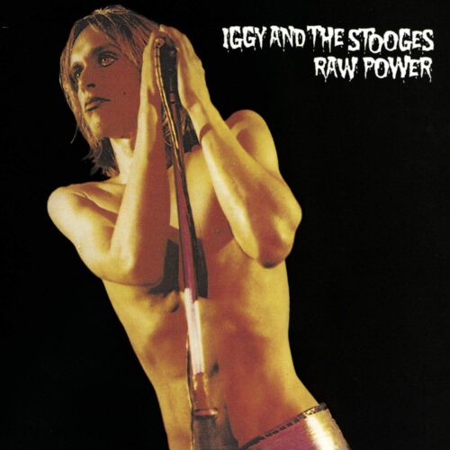 Stooges The - Raw Power