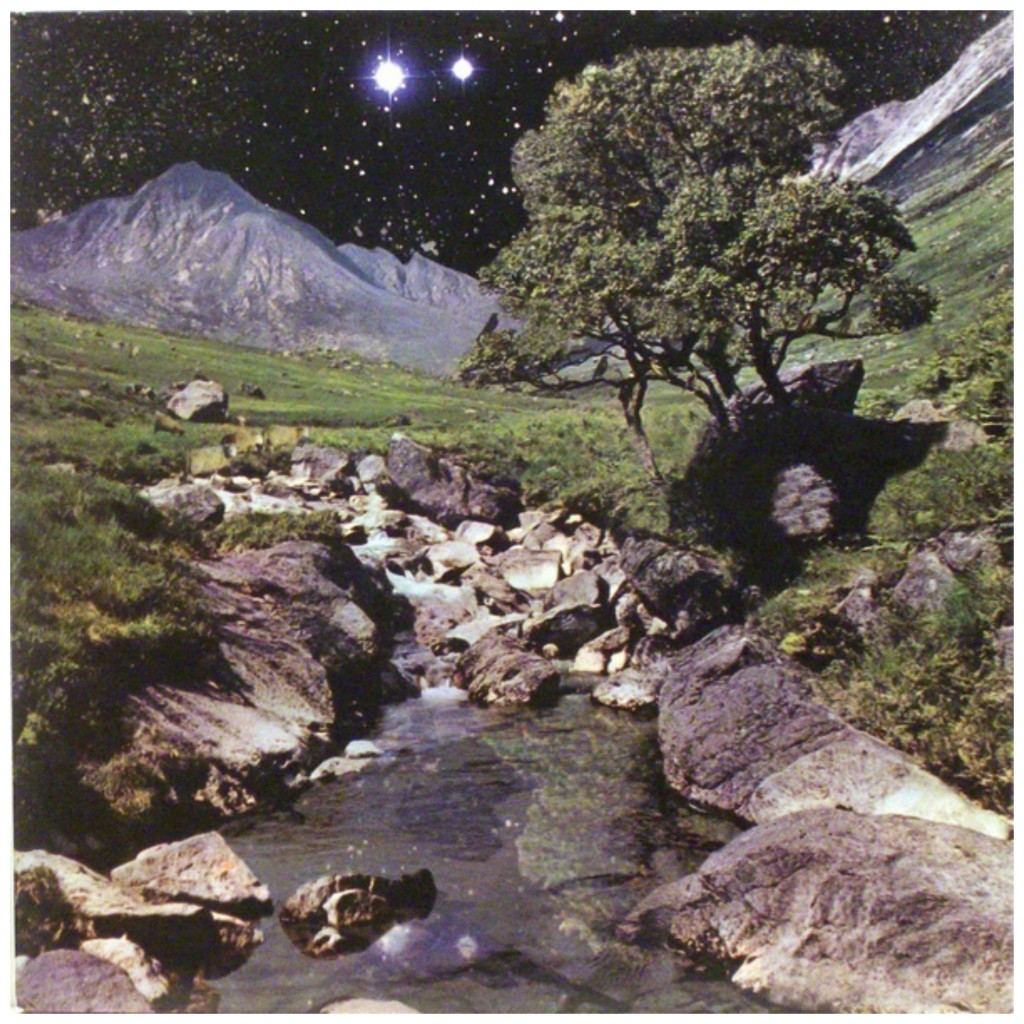 Beta Band The - The Beta Band