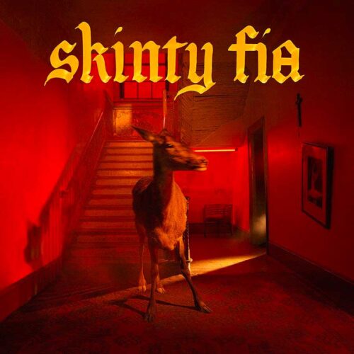 Fontaines D.C. - Skinty Fia     -    Vinilo