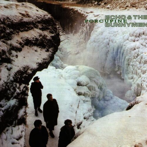 Echo & The Bunnymen - Porcupine    -  Vinilo